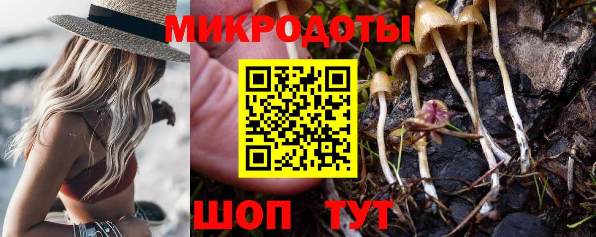 Псилоцибиновые грибы GOLDEN TEACHER  Вход с VPN  Вятские Поляны 