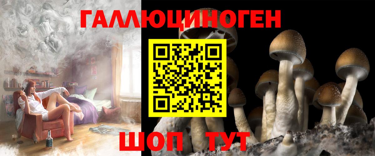 Псилоцибиновые грибы прущие грибы Вятские Поляны